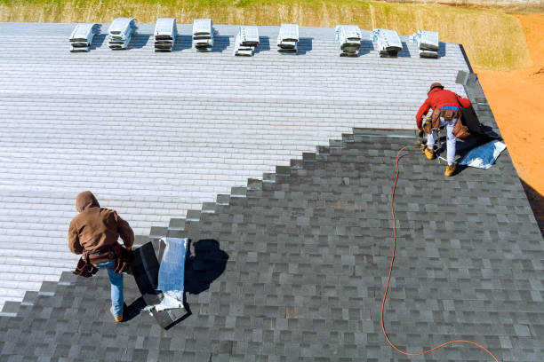 Best Local Roofing Companies  in Roosevelt Park, MI