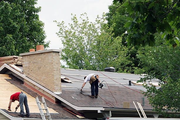 Best Shingle Roofing Installation  in Roosevelt Park, MI