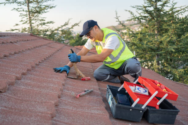 Quick and Trustworthy Emergency Roof Repair Services in Roosevelt Park, MI