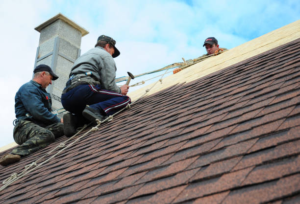 Best Commercial Roofing Services  in Roosevelt Park, MI